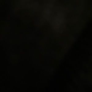 Meet your Posher, Dominick